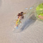 💚💜 Polly Pocket Miniatura Charm 2: ¡Vuelve a los 90 en tu Llavero! 💖💛