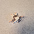 🐾Capsule Flockies Gremlins🍿