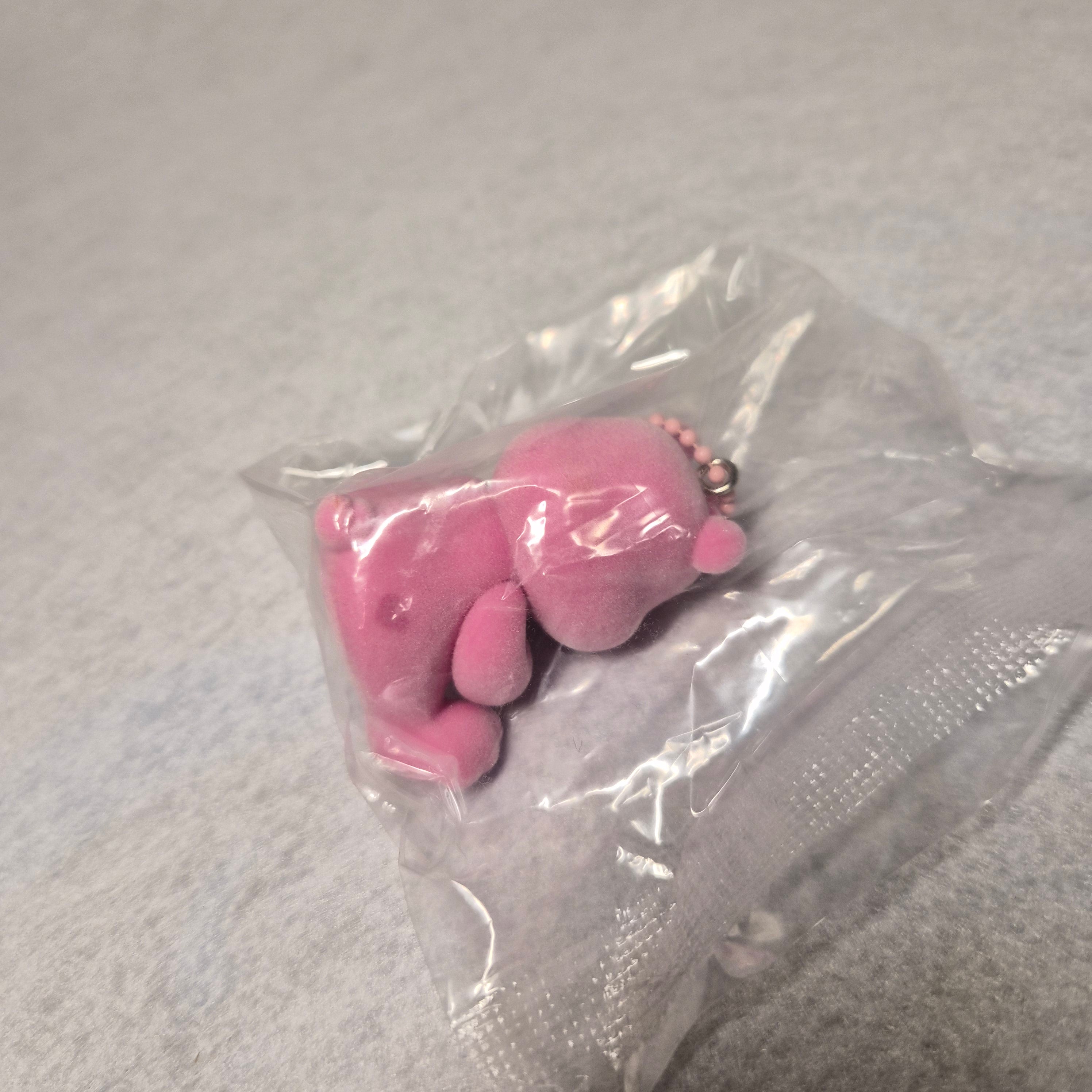 🧸 Care Bears Flocky Figure Mascot 2 ✨