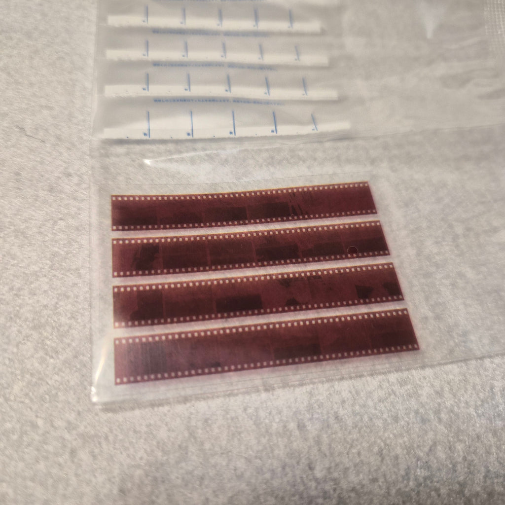 📸 Konica Minolta 150th Anniversary - Kenelephant ✨