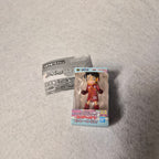 🏴‍☠️ One Piece WCF Miniature Collection