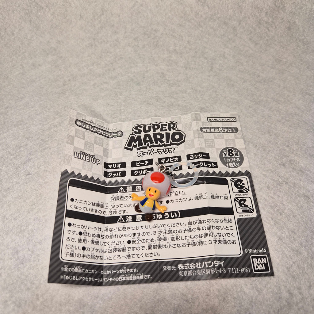 🍄 Super Mario - Mejirushi Accessory Vol. 2 ✨