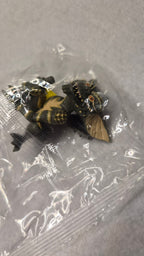 📦 Gremlins - Hide & Seek Figure (Takara Tomy A.R.T.S)