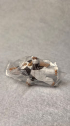 👾 Gremlins - Mejirushi Accessory (Bandai)